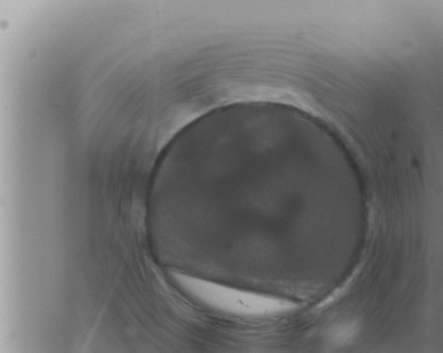 X0000062831505200601271938