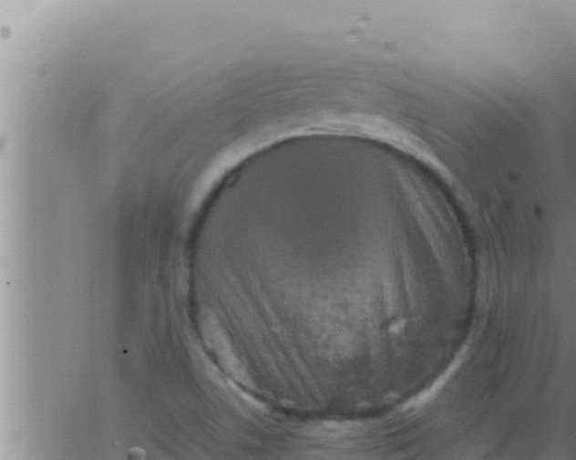 X0000062831506200601271938