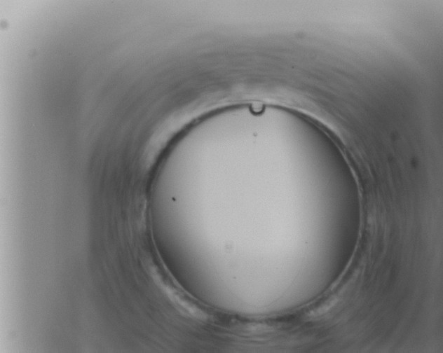 X0000062831507200601271938