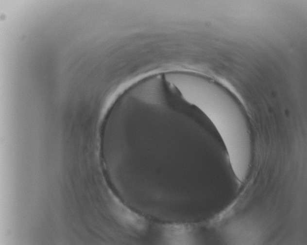 X0000062831508200601271938