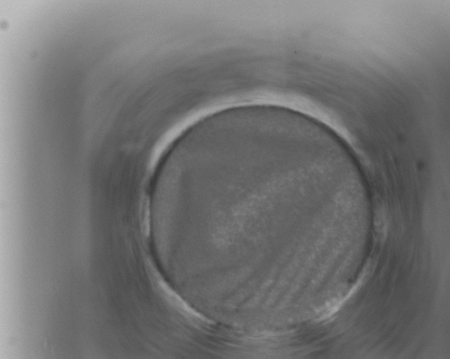 X0000062831510200601271938