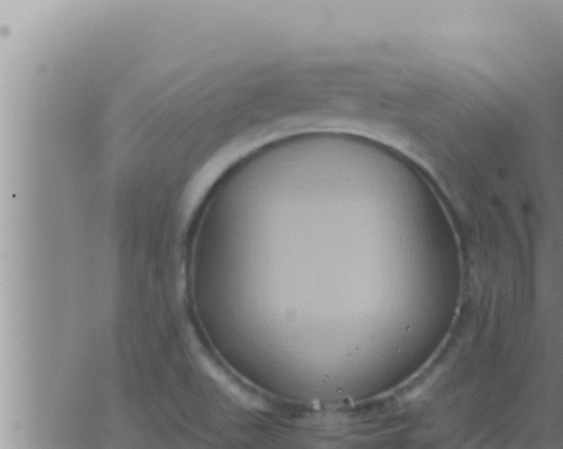 X0000062831511200601271938