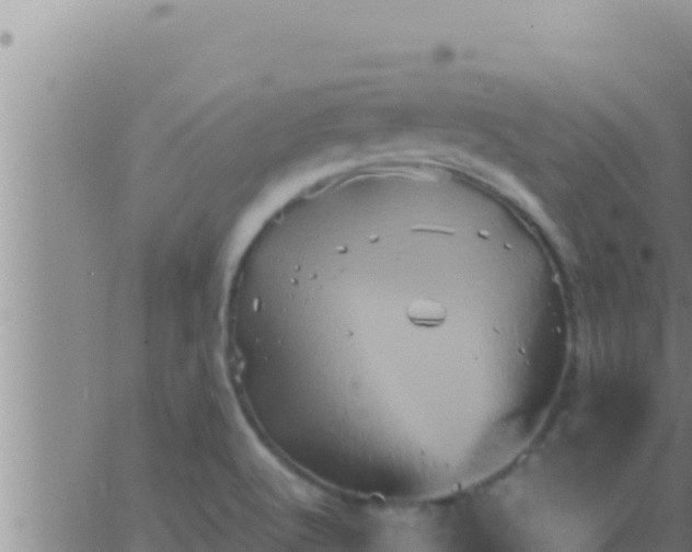 X0000062831512200601271938