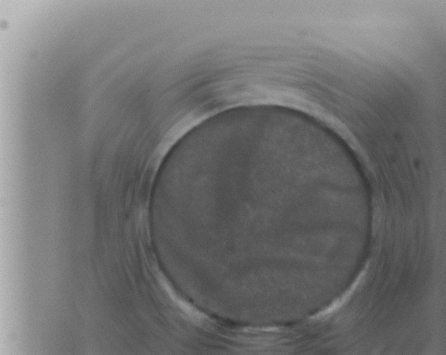 X0000062831513200601271938