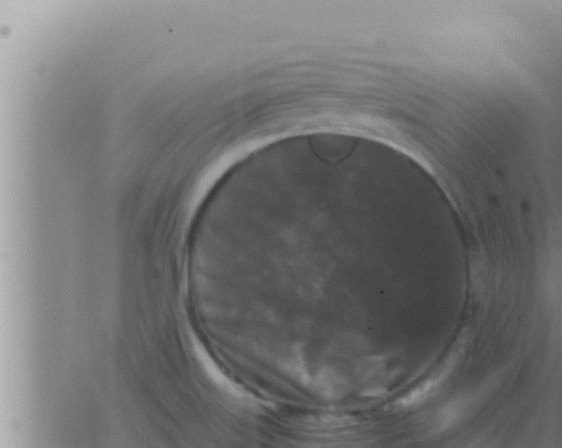 X0000062831515200601271938