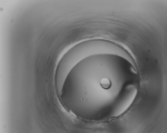 X0000062831516200601271938