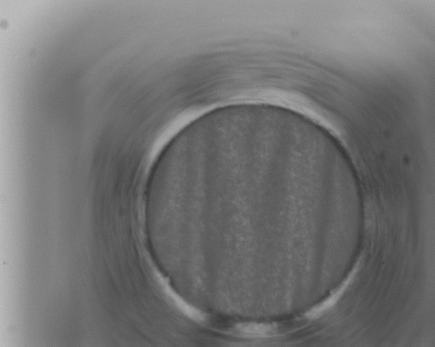 X0000062831517200601271938