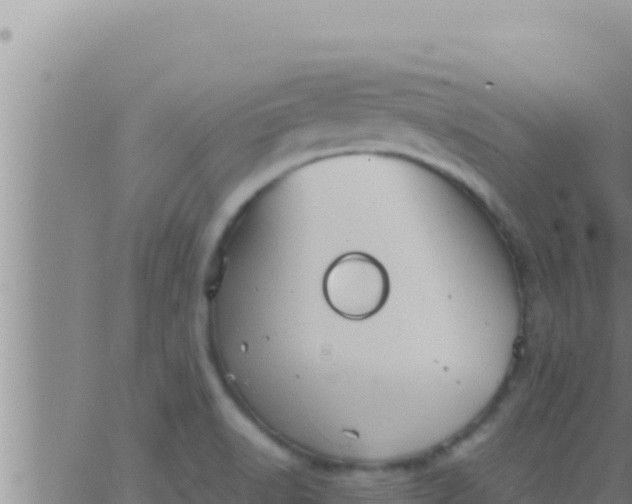 X0000062831518200601271938