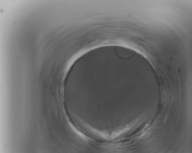 X0000062831519200601271938