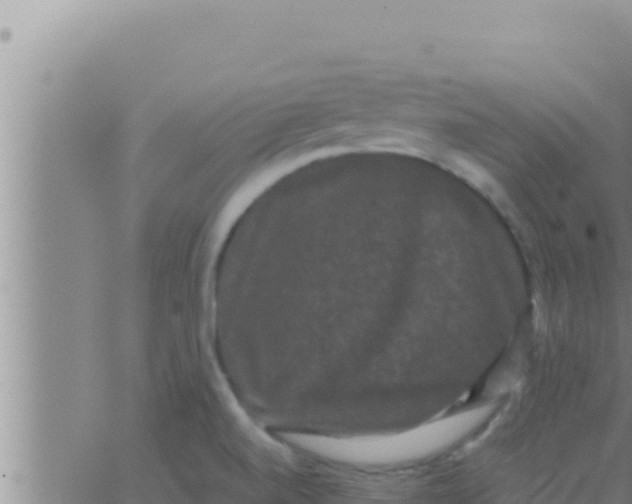 X0000062831520200601271938