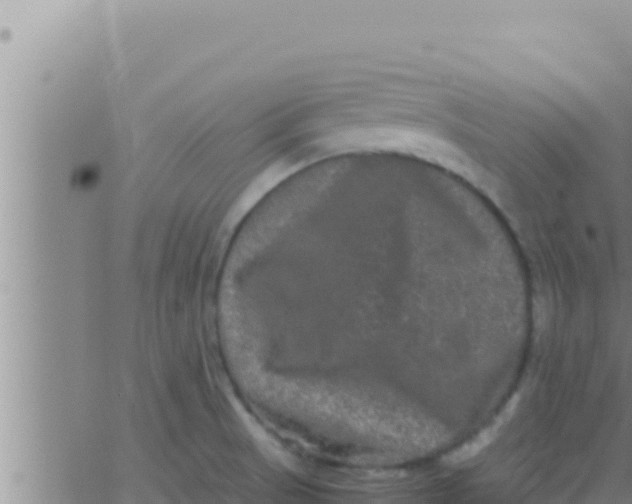 X0000062831521200601271938