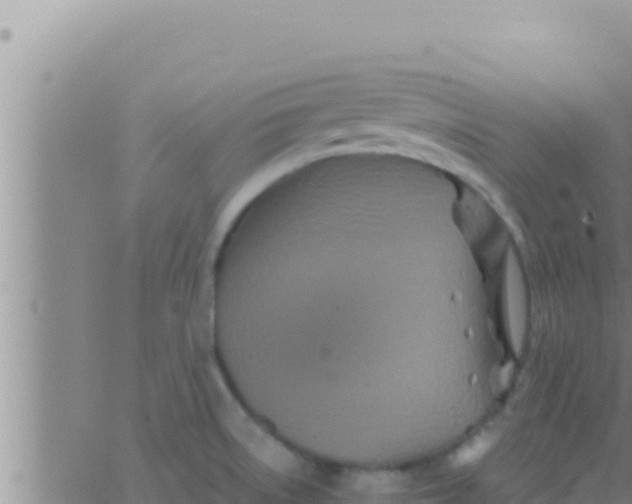 X0000062831522200601271938