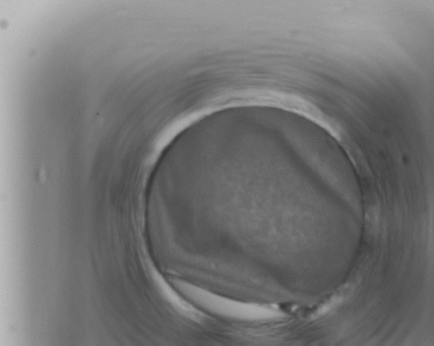 X0000062831523200601271938