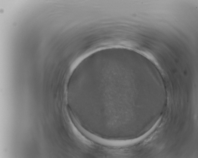 X0000062831524200601271938