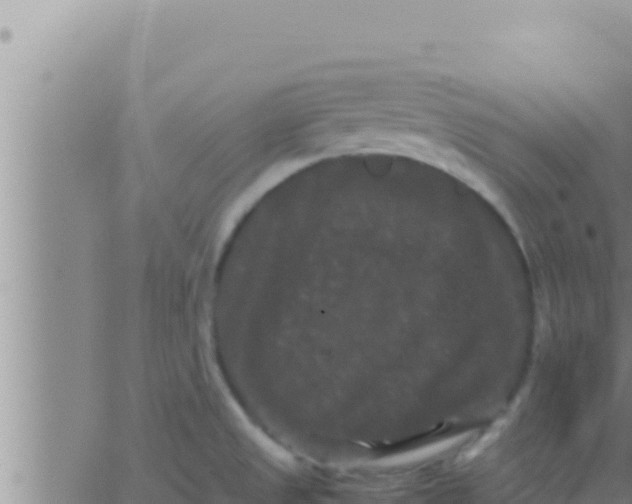 X0000062831525200601271938