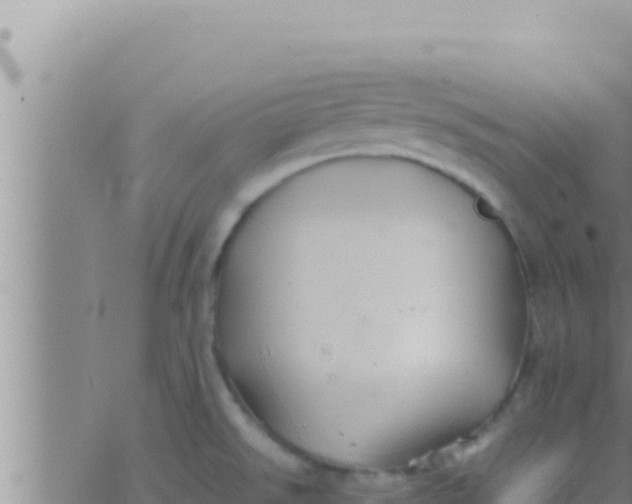 X0000062831526200601271938