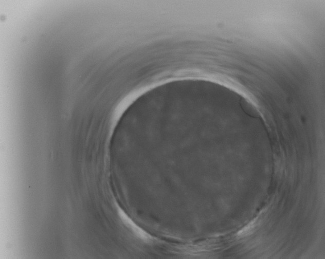 X0000062831527200601271938