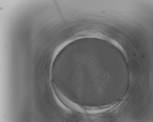 X0000062831528200601271938