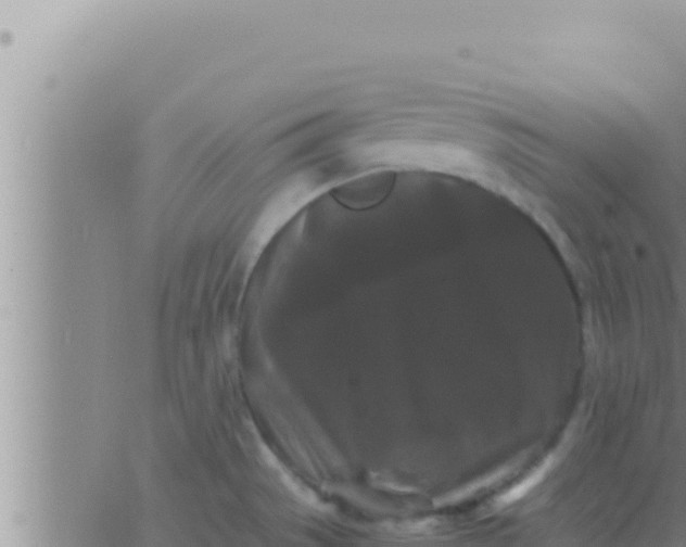 X0000062831529200601271938