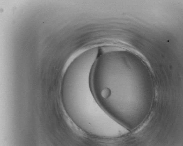 X0000062831530200601271938