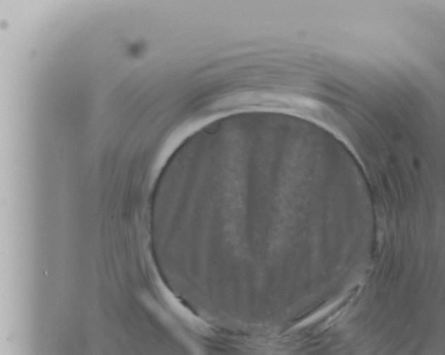 X0000062831531200601271938