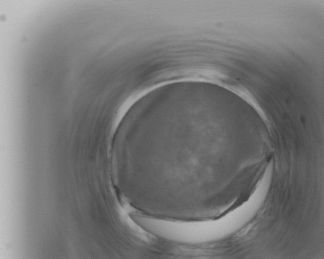 X0000062831532200601271938