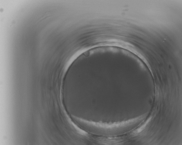 X0000062831533200601271938