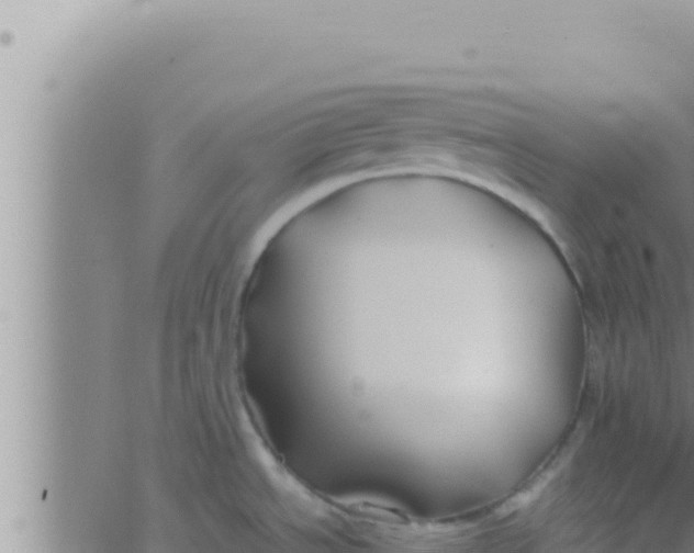 X0000062831534200601271938