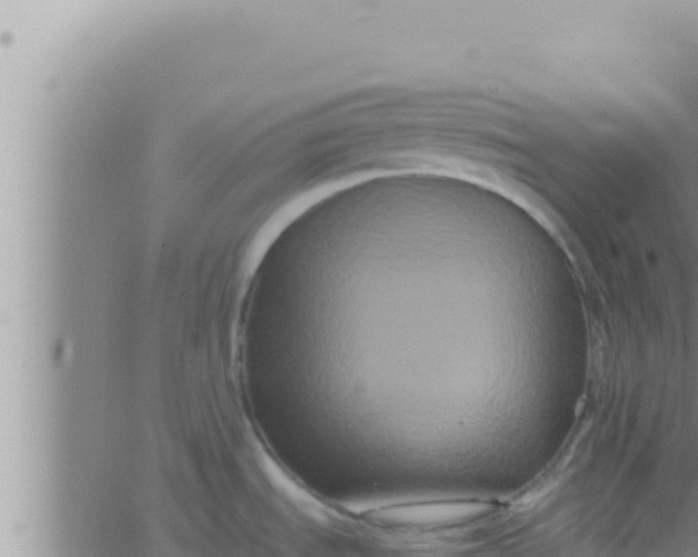 X0000062831535200601271938