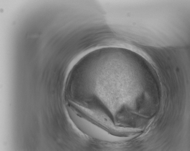 X0000062831536200601271938