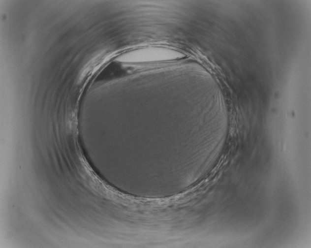X0000062830002200602031548