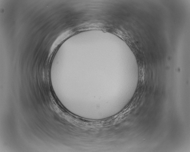 X0000062830004200602031548