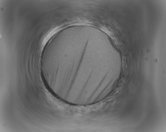 X0000062830007200602031548