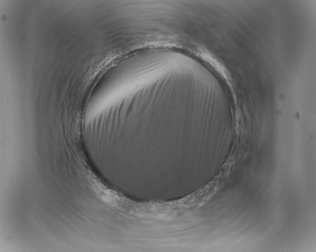 X0000062830009200602031548