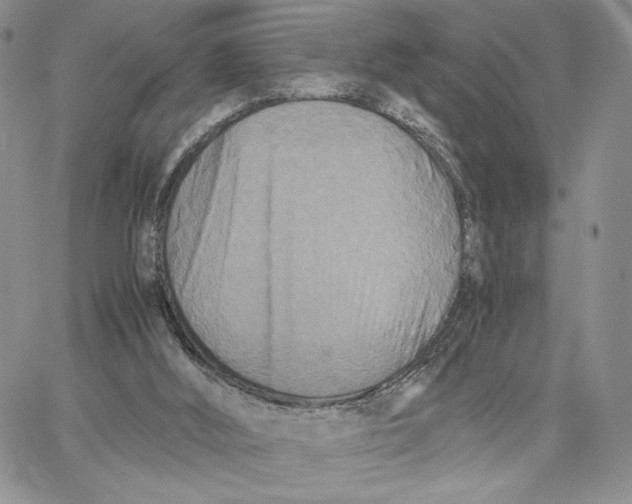 X0000062830012200602031548