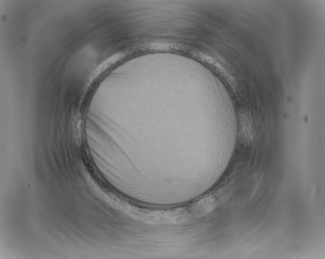 X0000062830016200602031548