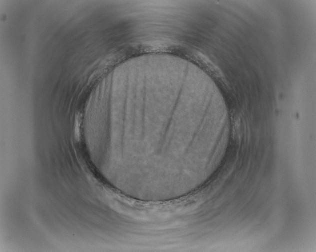 X0000062830026200602031548