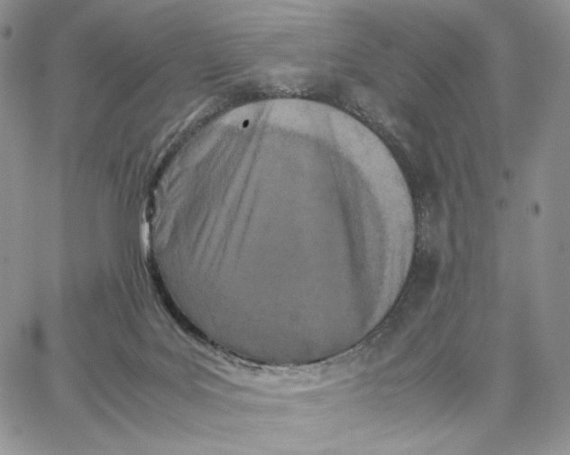 X0000062830027200602031548
