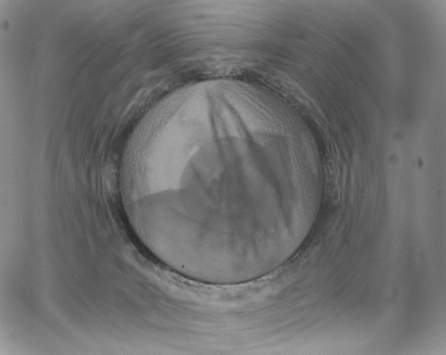 X0000062830035200602031548