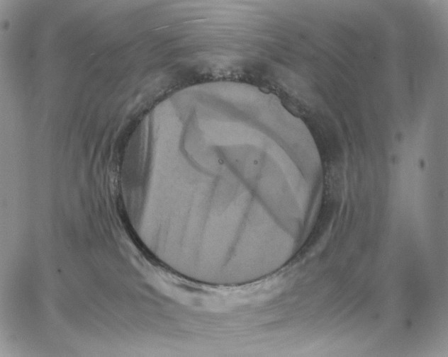 X0000062830039200602031548