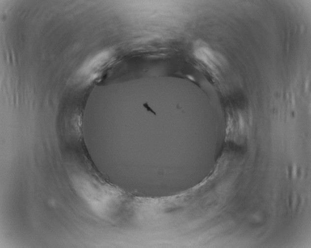 X0000062830045200602031548