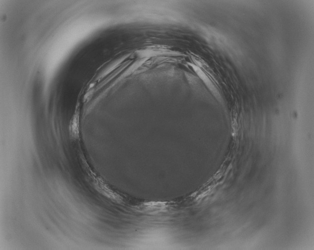 X0000062830052200602031547