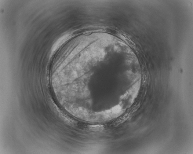 X0000062830053200602031547