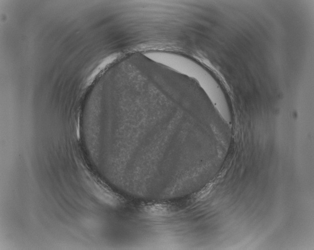 X0000062830062200602031547