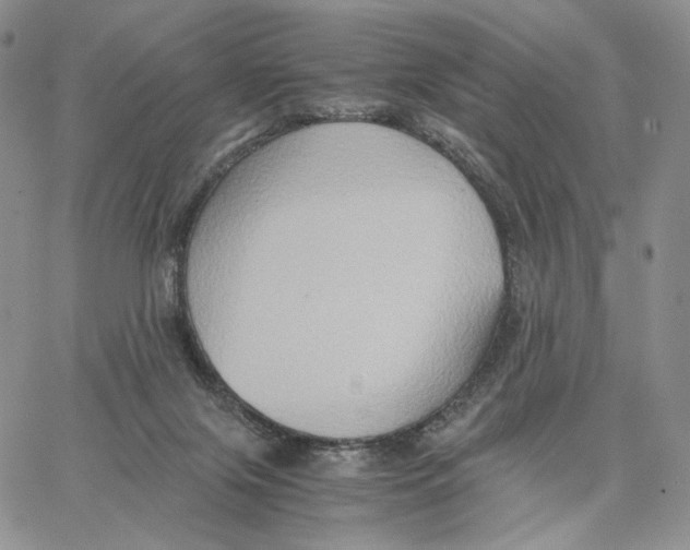 X0000062830071200602031547