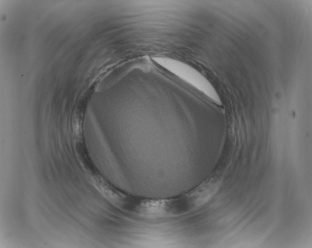 X0000062830084200602031548