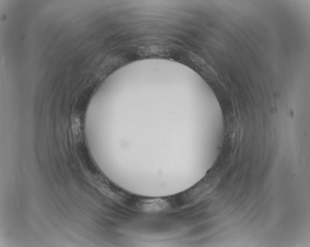 X0000062830087200602031548