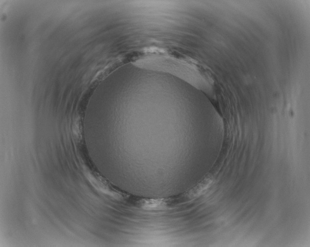 X0000062830088200602031548