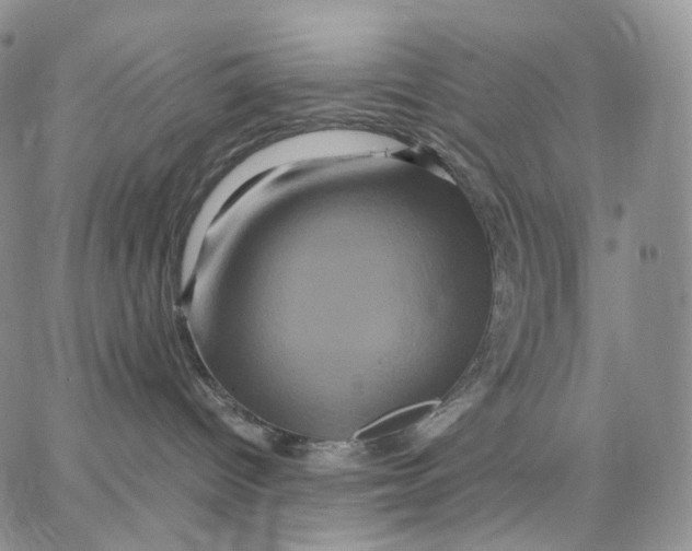 X0000062830096200602031548