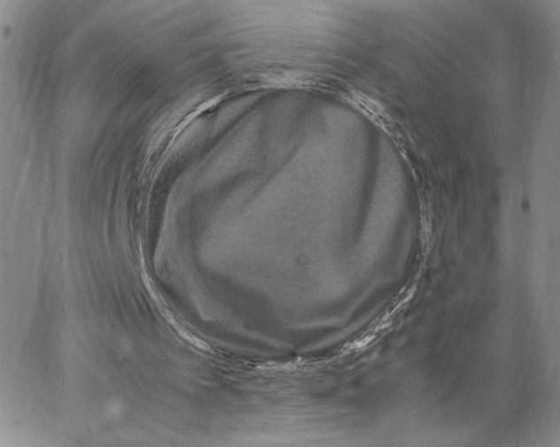 X0000062830097200602031547